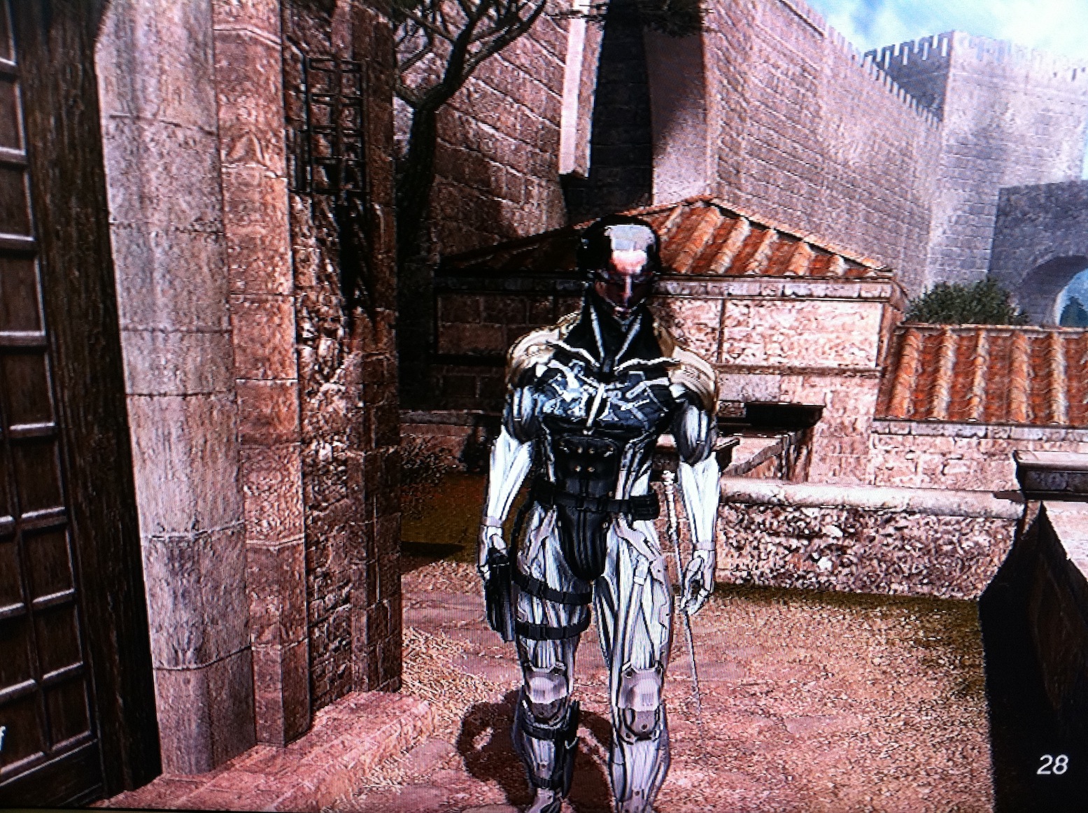 ac_brotherhood_raiden_ingame1288813048.jpg